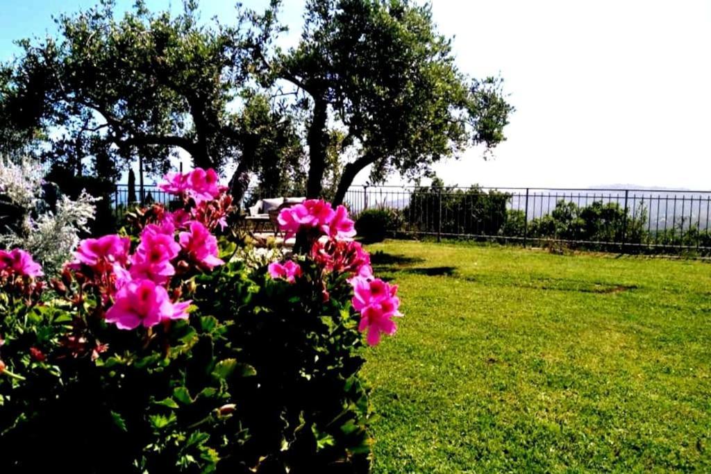 Casa Vista Mare - Superb Garden And Parking Included Villa Imperia Exterior foto