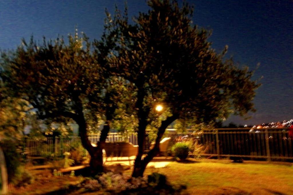 Casa Vista Mare - Superb Garden And Parking Included Villa Imperia Exterior foto