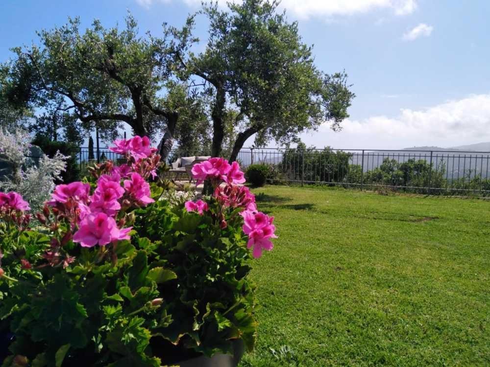 Casa Vista Mare - Superb Garden And Parking Included Villa Imperia Exterior foto